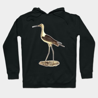 Stork Hoodie